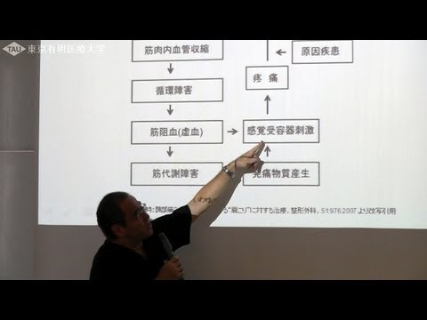 肩こりの発生機序