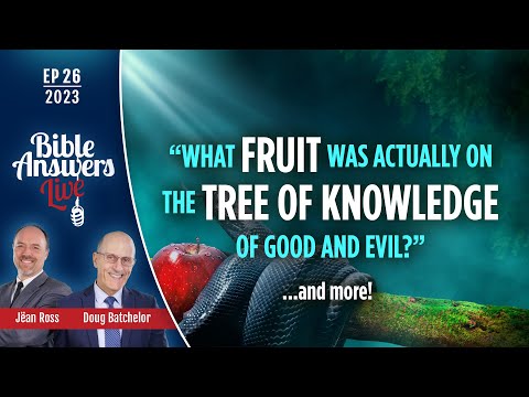 EP 26 | What fruit was actually on the tree of knowledge of good and evil? | Doug Batchelor