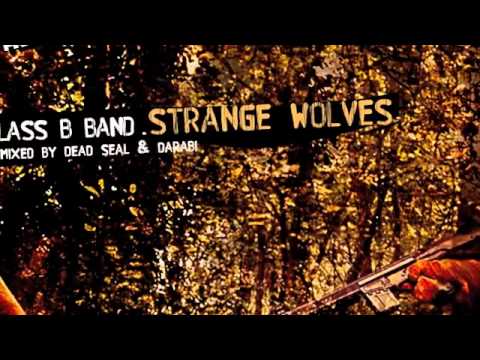 Class B Band - Strange Wolves - My Favorite Robot Records (MFR038)