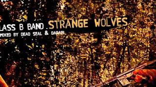 Class B Band - Strange Wolves - My Favorite Robot Records (MFR038)