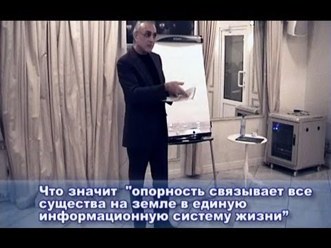 Опорность связывает все существа в единую информационную систему жизни