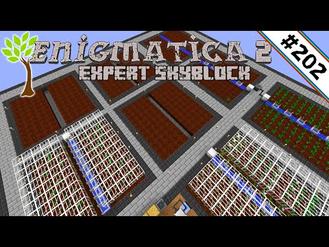 Felder für die Massenproduktion 🌳 Enigmatica 2 Expert Skyblock #202