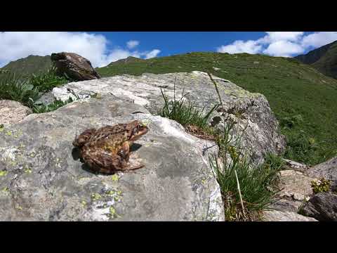 Val Piora 4K - Trekking 17km