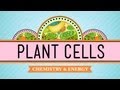 Documentary Science - Crash Course - Biology - Plant Cells