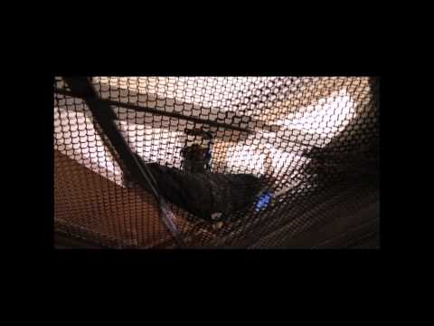 C.U.B.A. Cabbal - RITUS - (Official Video)