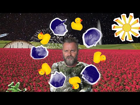 New Level Empire x Curtis - Az első és utolsó (Official Music Video)