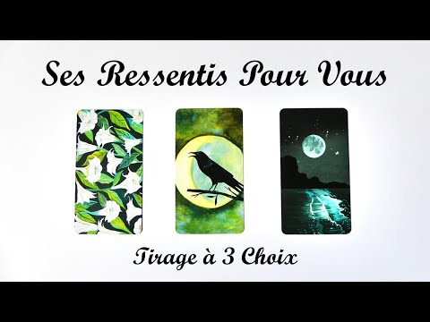 Qu’est-ce que cette personne ressent pour vous en ce moment ? -  Tirage à 3 choix 🌼🐦‍⬛🌗
