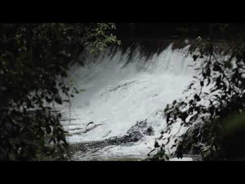 (4K) Fresh Waterfall - Flowing Water - Natural White Noise Sounds