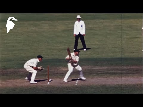 Rare Footage of Don Bradman in Colour – Sydney Cricket Ground 1949