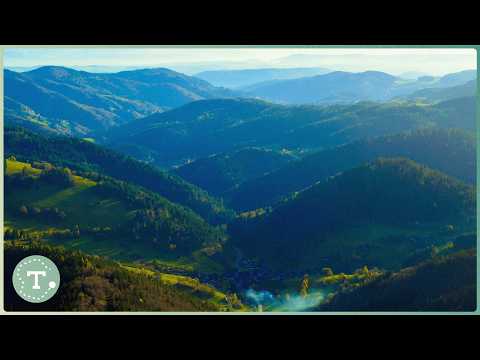 Von der Schweiz nach Italien: Mit dem Postauto durch die Alpen | Reisedoku