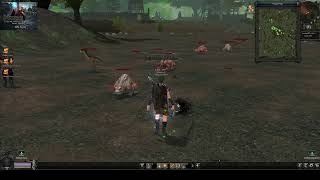Miniaturka - XardasMT2 – lecimy do 25 lvl  ( test bitrate 42500 )