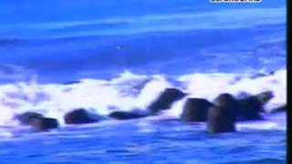 Bulan Batu Hiu ~ Kang Doel Sumbang