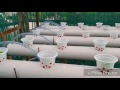 Ketahui Membuat instalasi hidroponik murah, Video Cara Menanam Hidroponik Sayur paling populer!