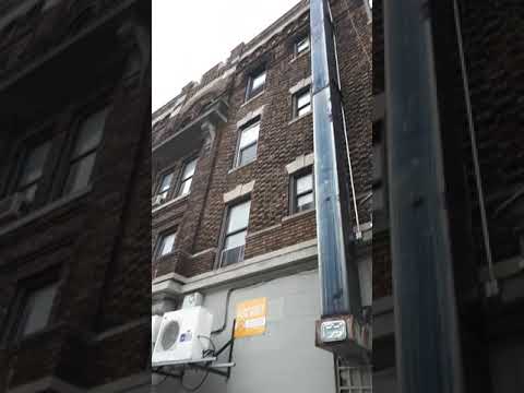 Where Bobby Fischer lived in Brooklyn. Lincoln Place 560