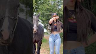 #shortsfeed #pecuarista #piadascurtas #cavalo #piadasrapidas #shortvideo #shortsyoutube #shorts