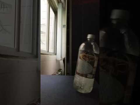 ```Desafio da garrafa (wather botle) #2 olha no que deu```