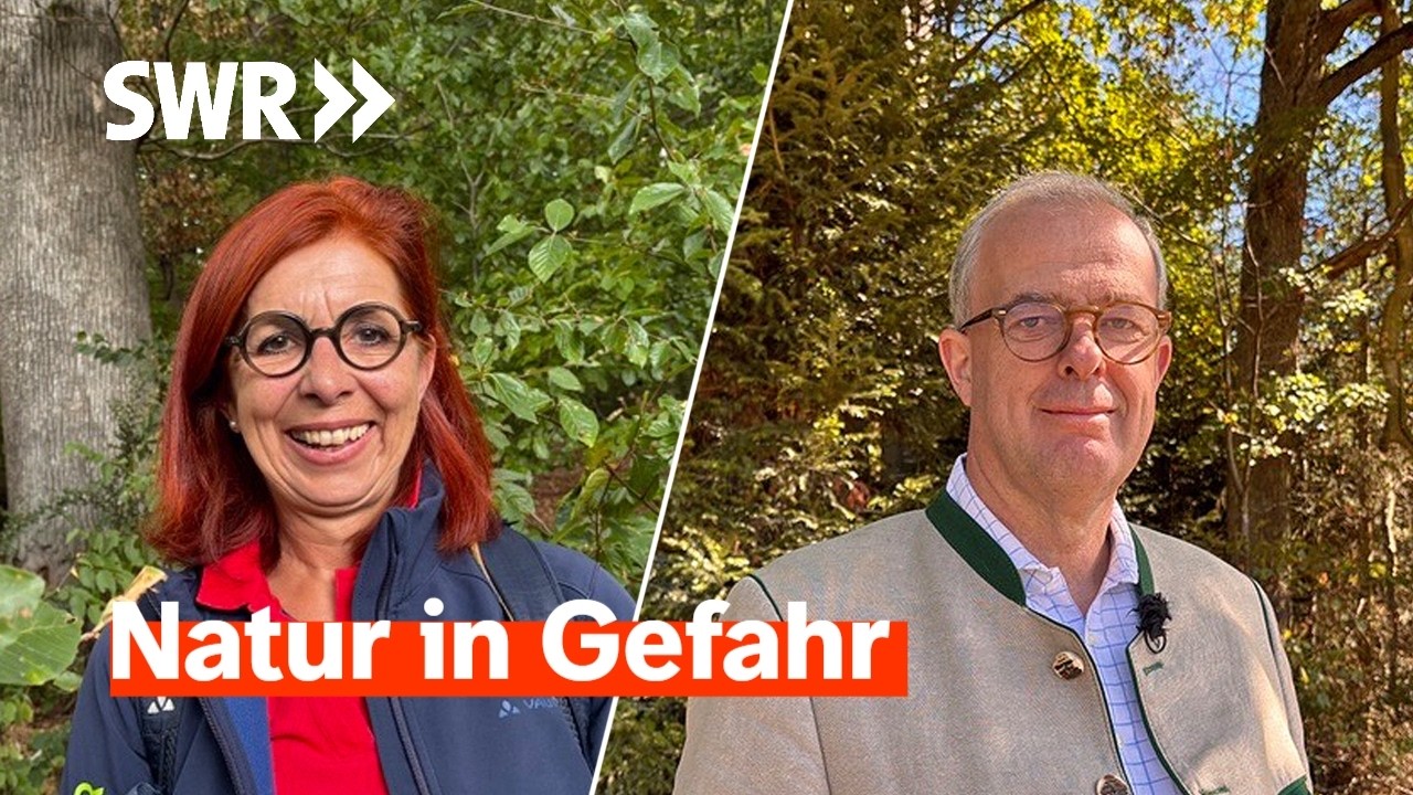 So steht es um die Wälder im Land I Zur Sache! Baden-Württemberg