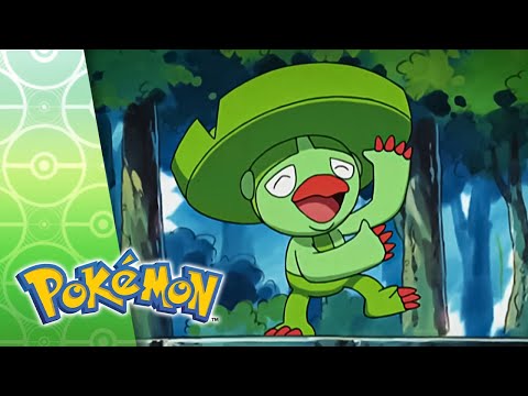 Take the Lombre Home | POKÉMON FULL EPISODE 23 | Season 7