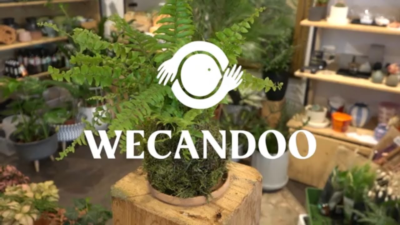 Composez votre terrarium - Vidéo