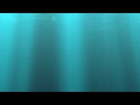 Jonathan Meza. Rindete y Buscalo