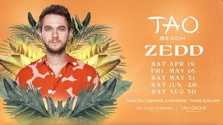 Zedd is Back at TAO Beach all 2025