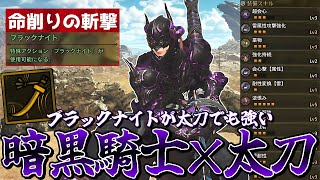 ブラックナイトと太刀を組み合わせた、とんでもない超火力装備が完成したのでご紹介【モンスターハンターワイルズ】