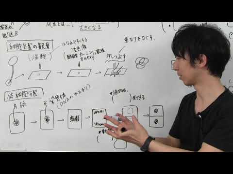 , title : '中3理科【生命】テスト直前、黒板2枚でイッキに要点チェック(前半)'