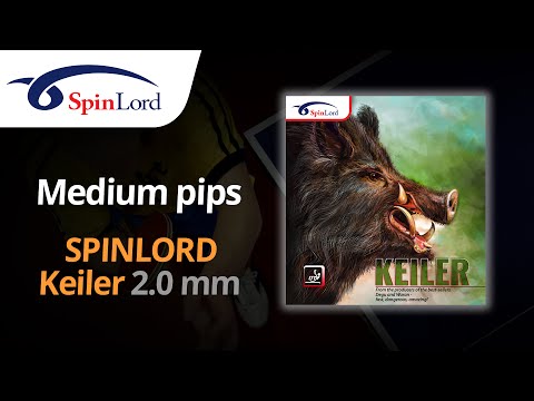 SPINLORD Keiler 2.0 mm - Mega-test of extremely fast and effective medium pips