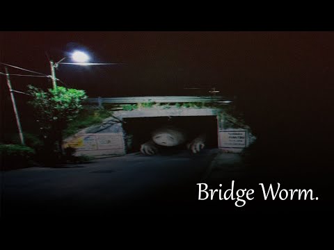 Exploring Bridge worm