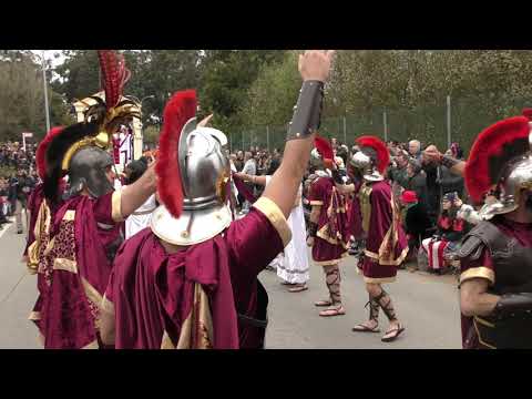 Não Precisa @Desfile de Domingo   Carnaval de Ovar 2019