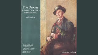 Peter Street / The Silver Spear / The Dublin Reel (Reels)