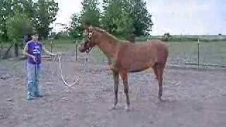 Shiska Video