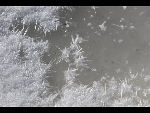 Roman Berdnikov. Meditation on 'Via Dolorosa' by Aivars Kalējs