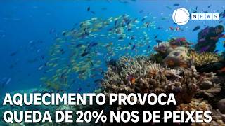 Miniatura do vídeo