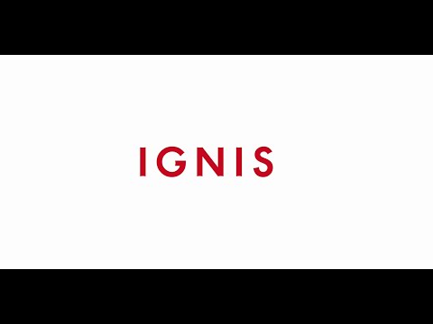 【株式会社イグニス】 2015年9月期事業報告