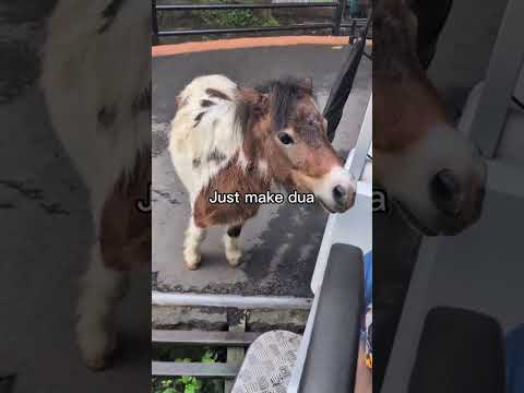 Keep praying #quotes #allah #motivasi