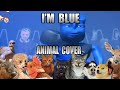 Eiffel - I'm Blue (Animal Cover)