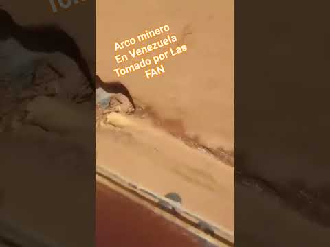 Desalojo de mineria ilegal en El Sur del pais Venezuela estado Bolivar #anzoategui #noticias #viral
