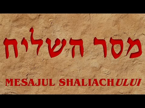 Despre Cruce / About the Cross