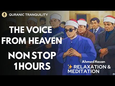 Relaxing with Voice From Heaven | Mohamed Ahmed Hasan | Surah Al-Balad & Al Fajr