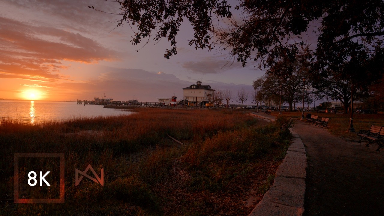 Relaxing Walk in Charleston South Carolina | Nature Sounds at Waterfront Park 8K HDR