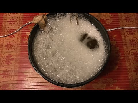 VEGGED FOR 75 DAYS GROW SERIES EPISODE 4 compost tea to help a deficiency