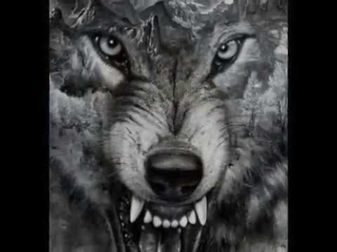 Joe Walsh - Wolf