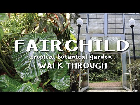 FAIRCHILD TROPICAL BOTANIC GARDENS WALK THROUGH!