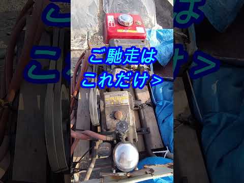 キャベツの腐敗から野菜を守るには？制御と治療  庭園