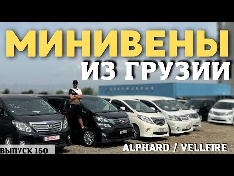 Минивэны из Грузии. АЛЬФАРДЫ. Тойота Альфард. Alphard. Vellfire. Master Vadya.