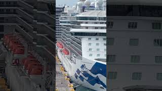 MSC Cruises vs Princess Cruises!… #cruiseship #travel #vacation #viral #shorts #yt #ytshorts #fypシ