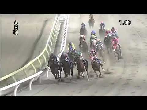 2018.12.05 Katsushima Okan (JPN) - Mogiana Flavor