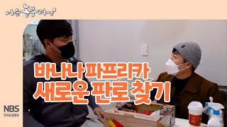 [나는농부다 233회] 바나나 파프리카 새로운 판로 찾기!청년몰 입점을 문의하는 문호 씨
