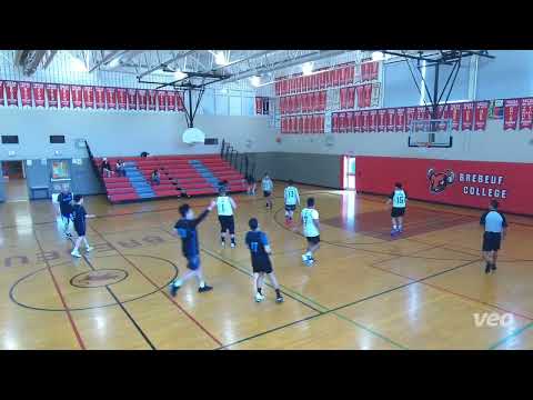 Beach Boys(39) tier 11 - 2023 SUMMER Shield (36) - tcbl sunday